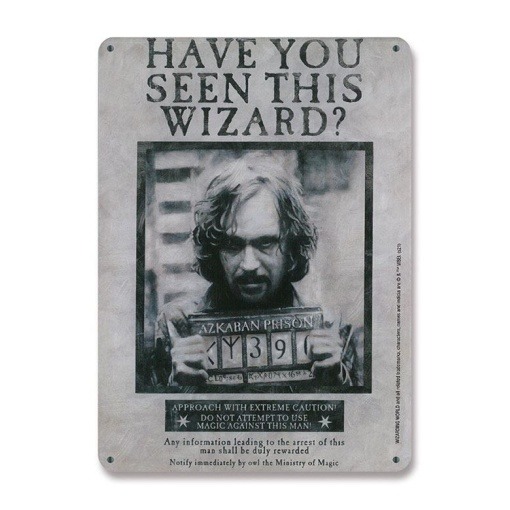 Harry Potter Placa de Chapa Have You Seen This Wizard 15 x 21 cm