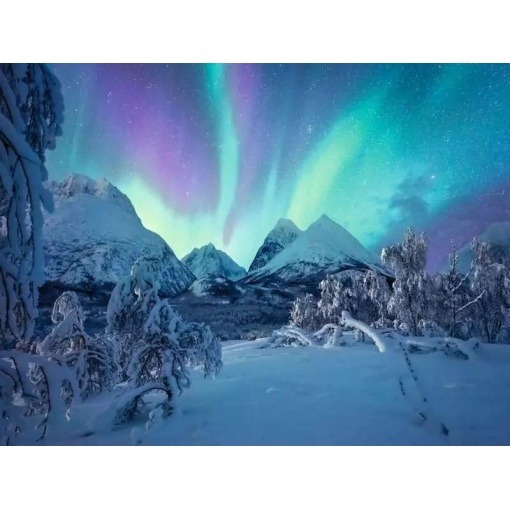 Power of Nature Puzzle Cuando baila la aurora boreal (1500 piezas)