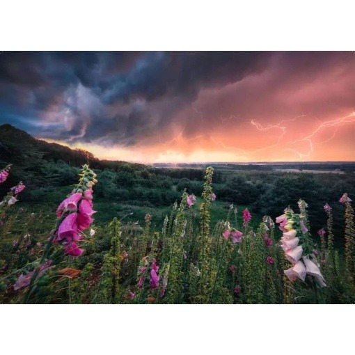 Power of Nature Puzzle Se avecina una tormenta (1000 piezas)