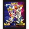 Sonic The Hedgehog Enmarcado Póster Efecto 3D Select Your Fighter 26 x 20 cm