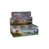 Magic the Gathering Bloomburrow Caja de Sobres de Juego (36) castellano