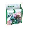 Magic the Gathering Bloomburrow Caja de Sobres de coleccionista (12) inglés