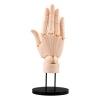 Takahiro Kagami Artist Support Item Hand PVC 1/1 Model/R Pale Orange 21 cm