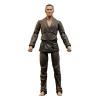 Cobra Kai: Series 2 - Chozen 7 inch Action Figure - Embalaje dañado