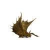 D&D Icons of the Realms Miniatura Premium pre pintado Adult Gold Dragon 25 cm