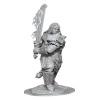 Dungeons and Dragons: Nolzur's Marvelous Miniatures - Fire Giant