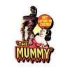 Hammer Horror: The Mummy Funky Chunky Magnet