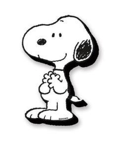 Peanuts: Snoopy Funky Chunky Magnets