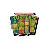 TMNT: Cast Funky Chunky Magnet