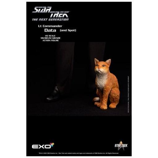 Star Trek: The Next Generation Figura 1/6 Lt. Commander Data (Standard Version) 30 cm - Embalaje dañado