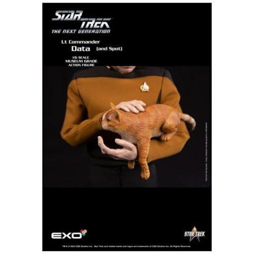 Star Trek: The Next Generation Figura 1/6 Lt. Commander Data (Standard Version) 30 cm - Embalaje dañado