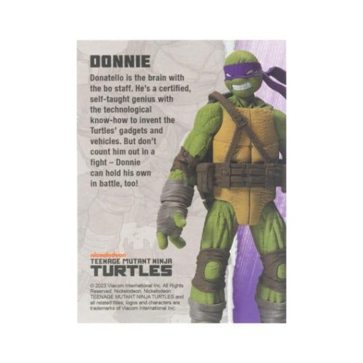 Tortugas Ninja Figura BST AXN Donatello (IDW Comics) 13 cm