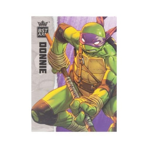 Tortugas Ninja Figura BST AXN Donatello (IDW Comics) 13 cm