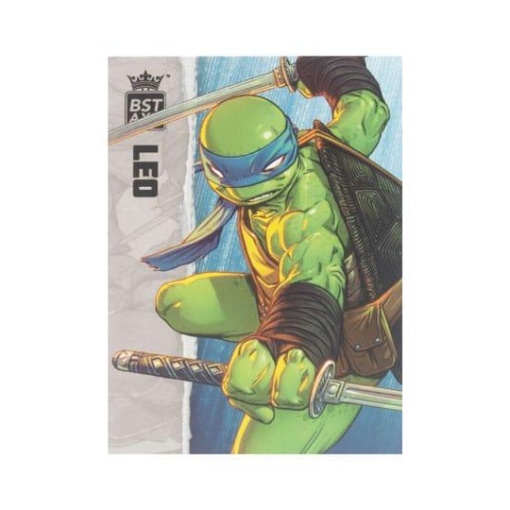 Tortugas Ninja Figura BST AXN Leonardo (IDW Comics) 13 cm