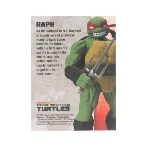 Tortugas Ninja Figura BST AXN Raphael (IDW Comics) 13 cm