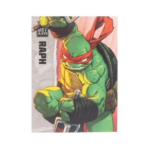 Tortugas Ninja Figura BST AXN Raphael (IDW Comics) 13 cm