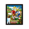 Sonic The Hedgehog Póster Efecto 3D Catching Rings 26 x 20 cm