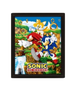 Sonic The Hedgehog Póster Efecto 3D Catching Rings 26 x 20 cm