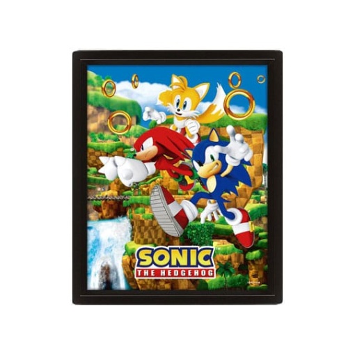 Sonic The Hedgehog Póster Efecto 3D Catching Rings 26 x 20 cm