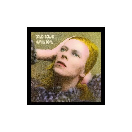 David Bowie Rock Saws Puzzle Hunky Dory (500 piezas)