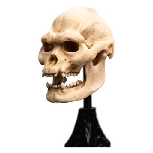 El Señor de los Anillos Estatua Skull of Lurtz 14 cm