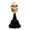 El Señor de los Anillos Estatua Skull of Lurtz 14 cm