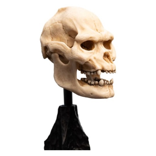 El Señor de los Anillos Estatua Skull of Lurtz 14 cm