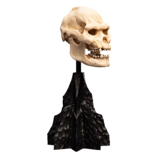 El Señor de los Anillos Estatua Skull of Lurtz 14 cm