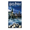 Harry Potter Toalla Blue 70 x 140 cm