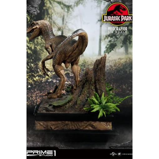 Jurassic Park Estatua 1/6 Velociraptor 41 cm