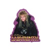 Labyrinth: Jareth Funky Chunky Magnet